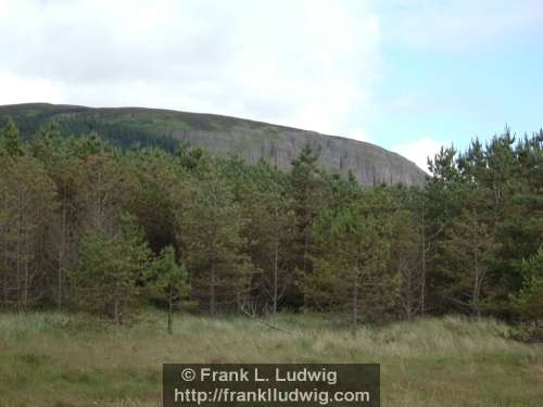 Strandhill Wood